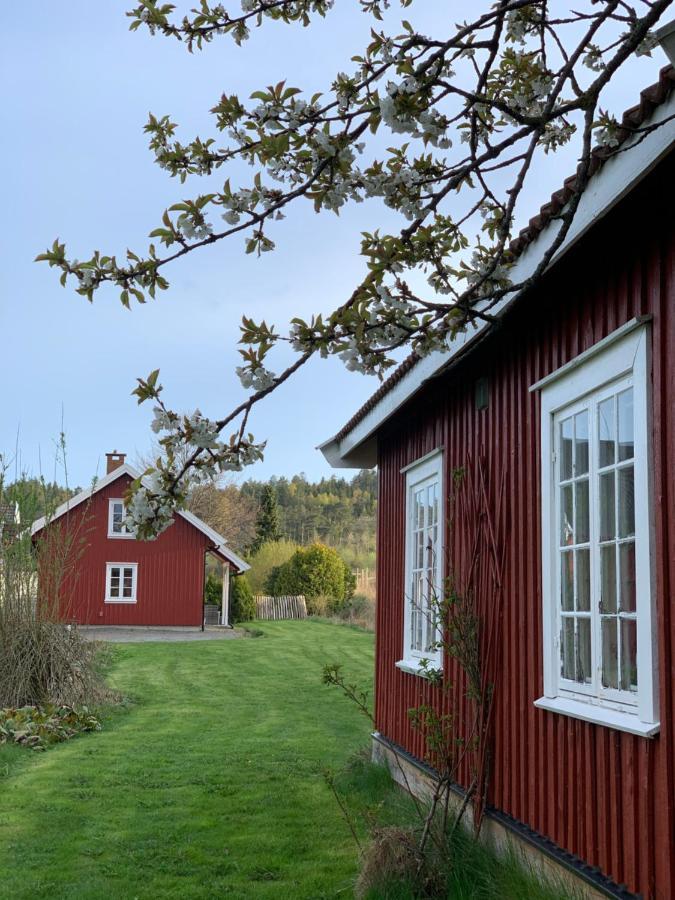 Morellgården Larvik Eksteriør billede