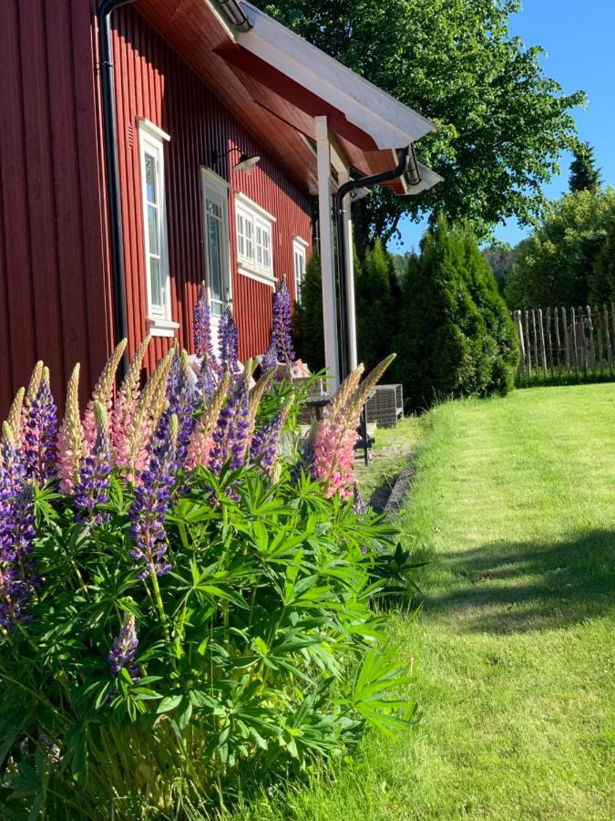 Morellgården Larvik Eksteriør billede